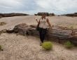 Petrified Forest National Park
