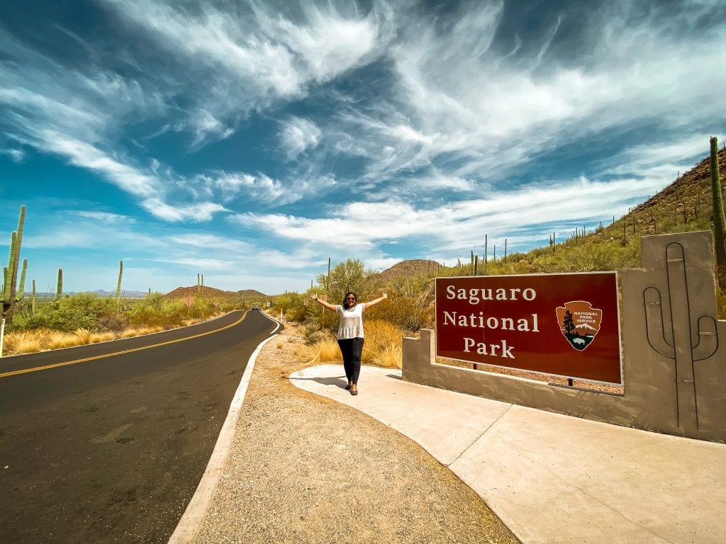 Saguaro National Park Travel Guide