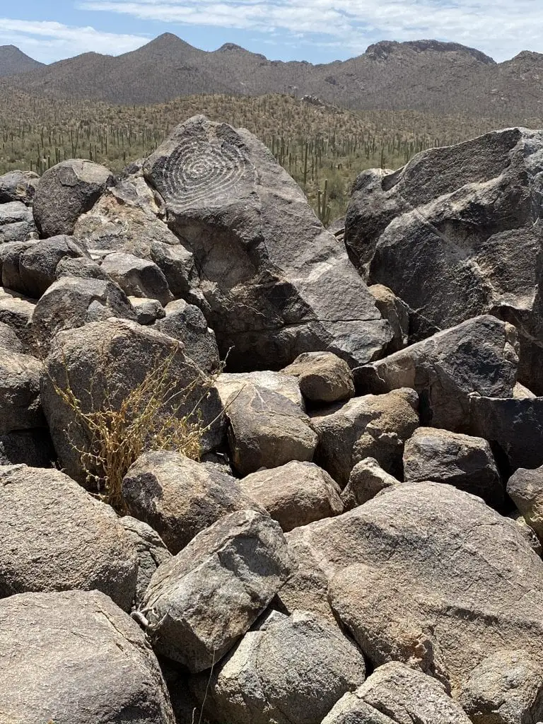 Saguaro National Park Travel Guide