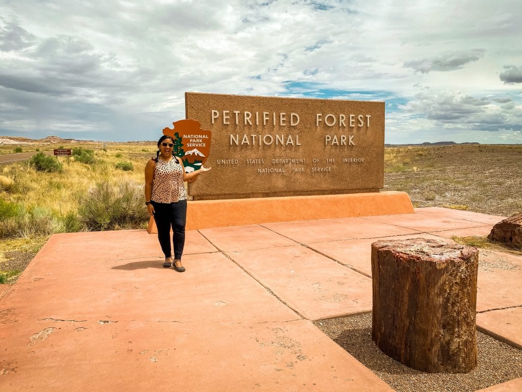 Petrified Forest National Park Travel Guide