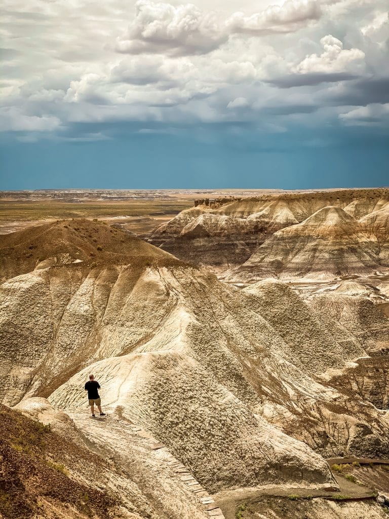 Petrified Forest National Park Travel Guide