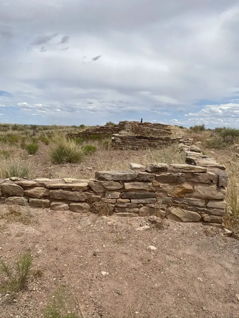 Petrified Forest National Park Travel Guide