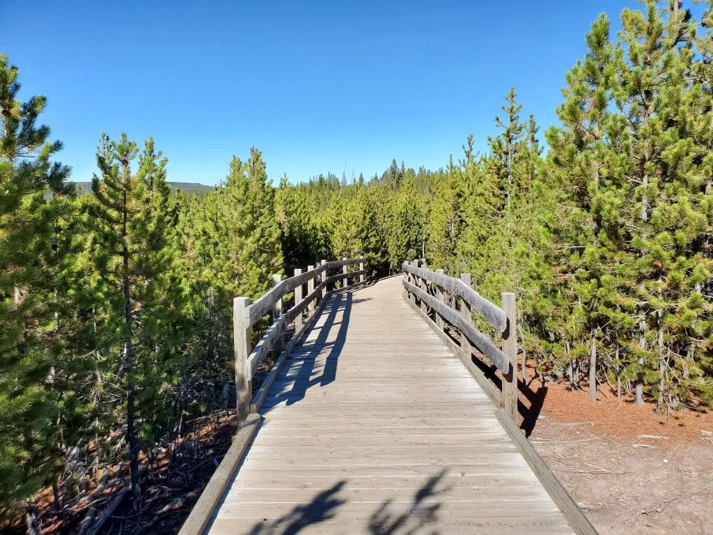 Boardwalk at Norris Geyser Basin