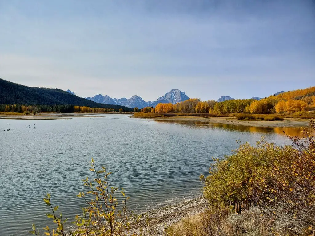 The river bank at Oxbow Bend in Grand Teton National Park