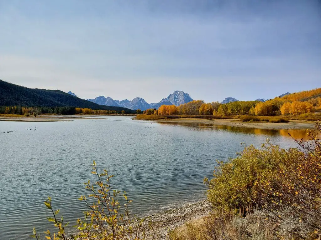 ساحل رودخانه در Oxbow Bend در پارک ملی Grand Teton