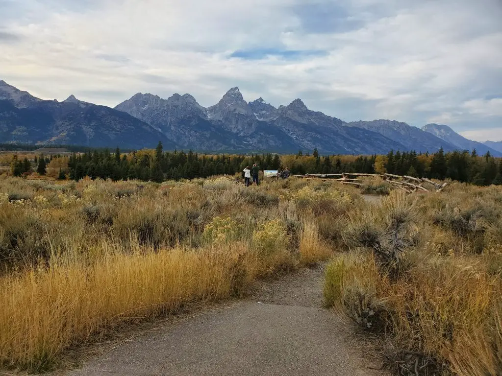 Hiking path to blacktail ponds overlook