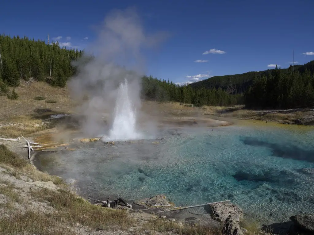 Imperial Geyser in Yellowstone