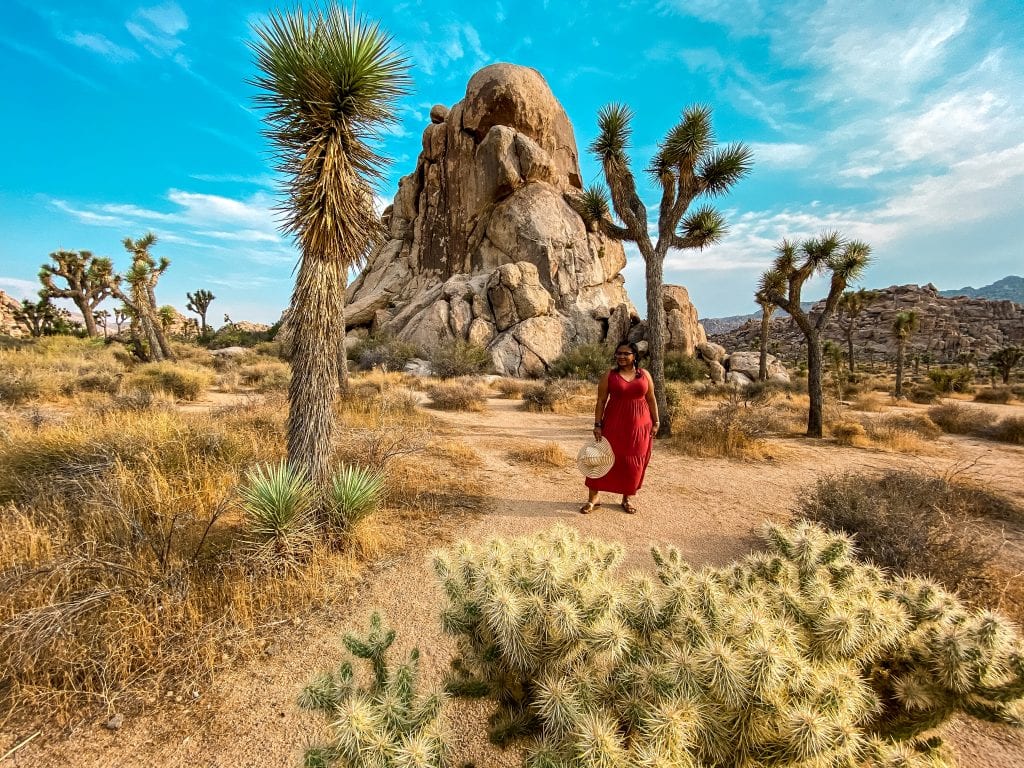 7 stunning day trips from Las Vegas