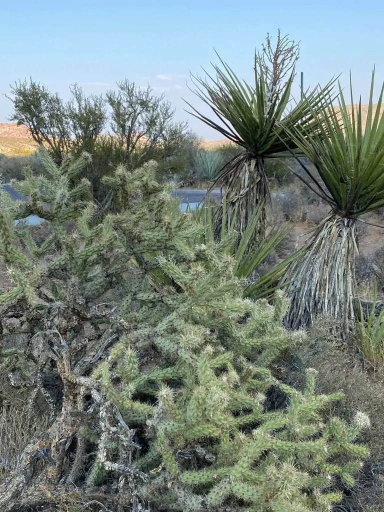 The best of Red Rock Canyon