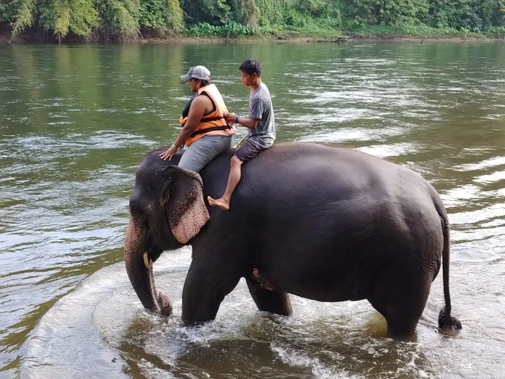 Taweechai Elephant Camp