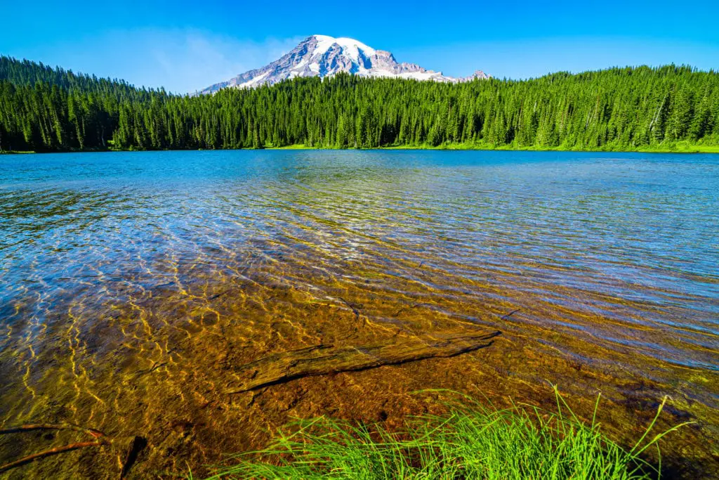 Mount Rainier National Park