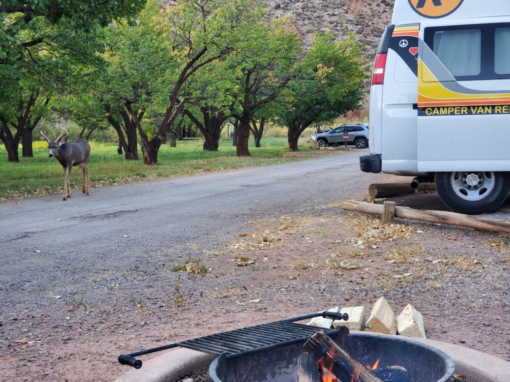 Fruita Campground in Capitol Reef National Park