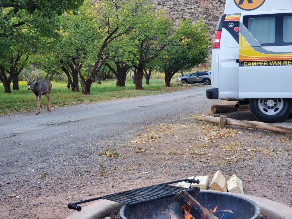 Fruita Campground