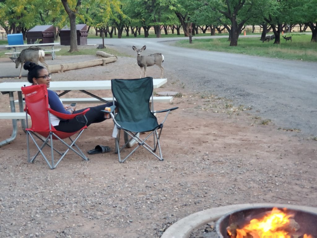 Fruita Campground in Capitol Reef National Park