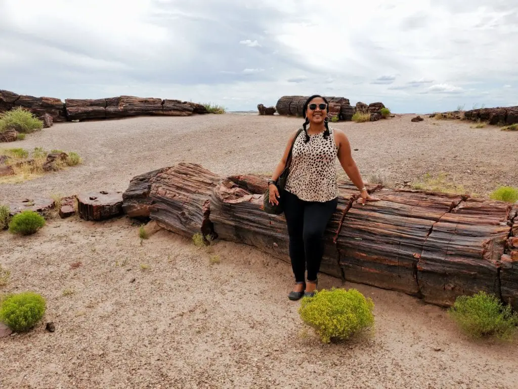 Petrified Forest National Park