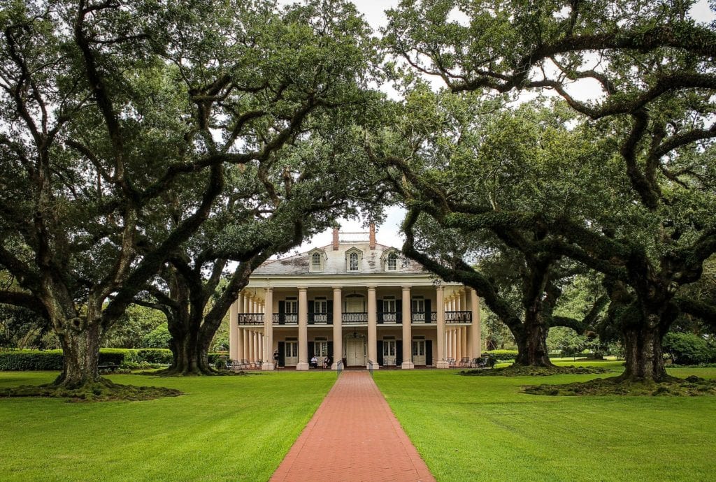 14 best things to do in New Orleans