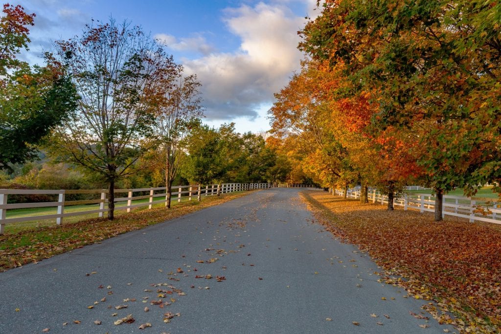 best routes for fall foliage on amtrak