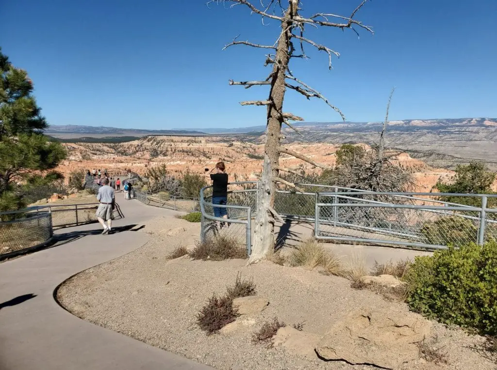 Bryce Point