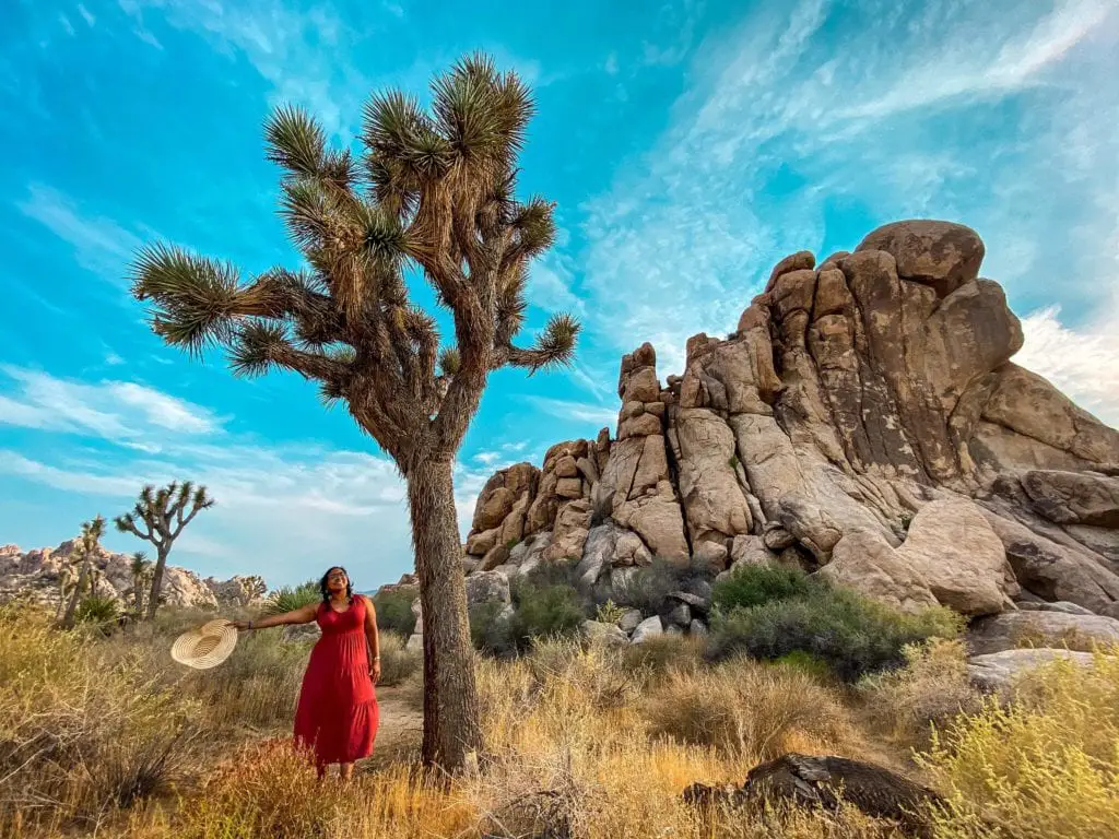 nine incredible california national parks