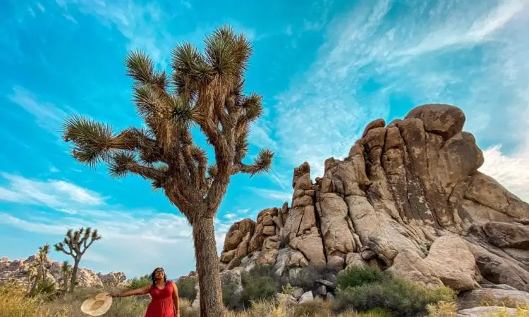 nine incredible california national parks