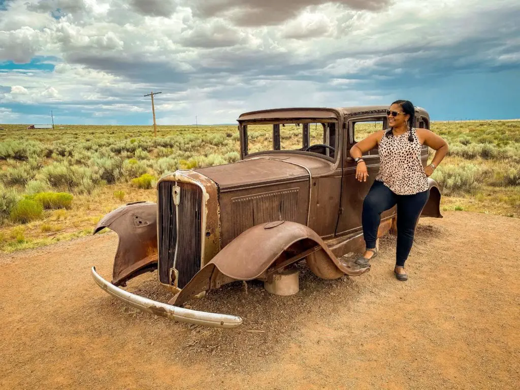 Petrified Forest National Park