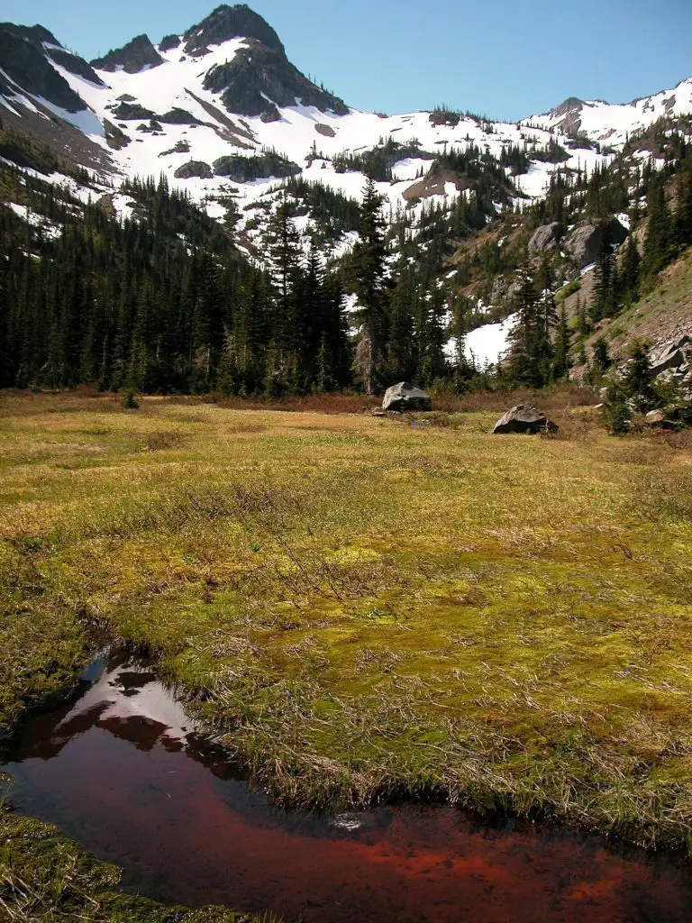 Olympic National Park Itinerary