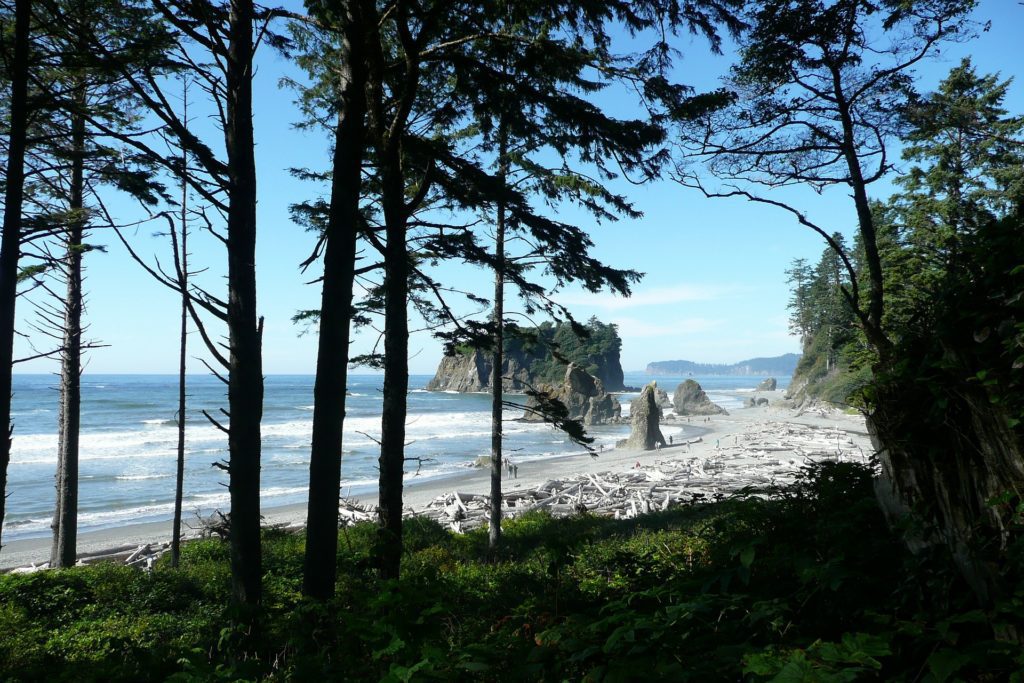 Olympic National Park Itinerary