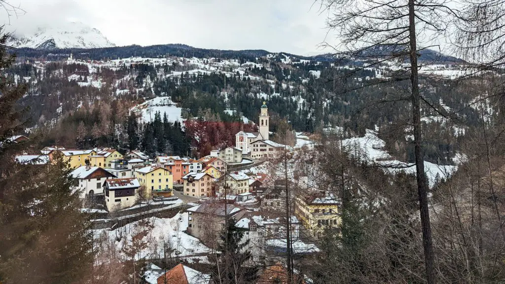 Albula