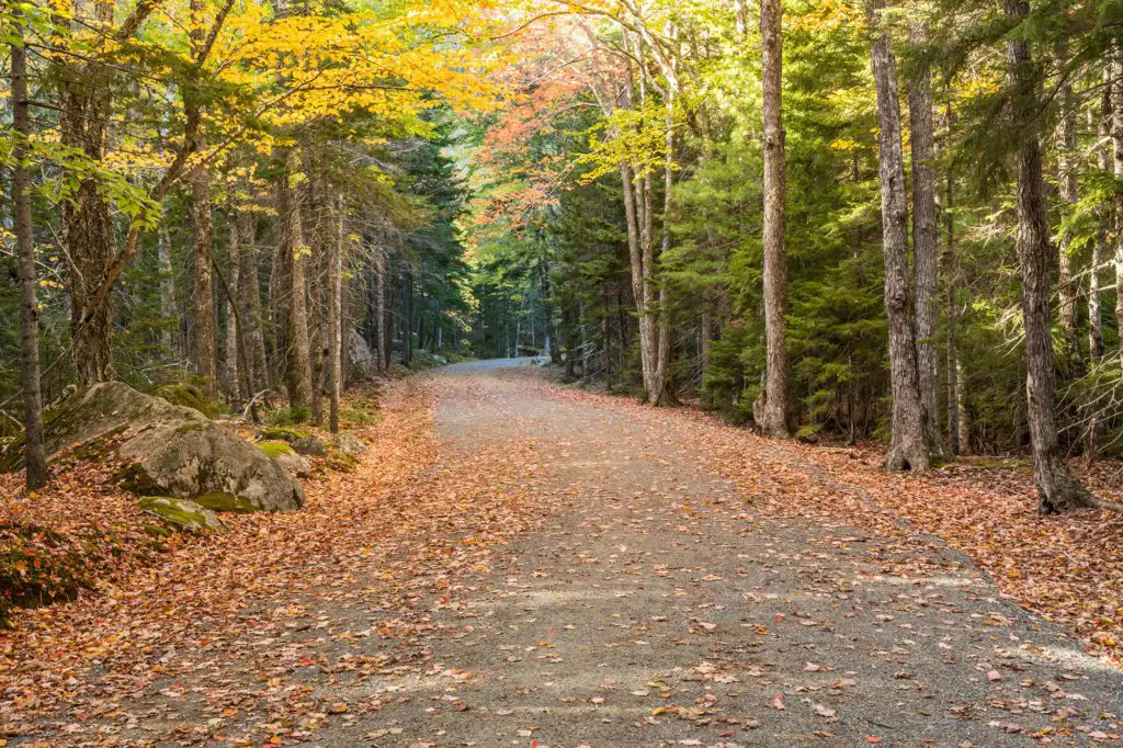 acadia carriage roads