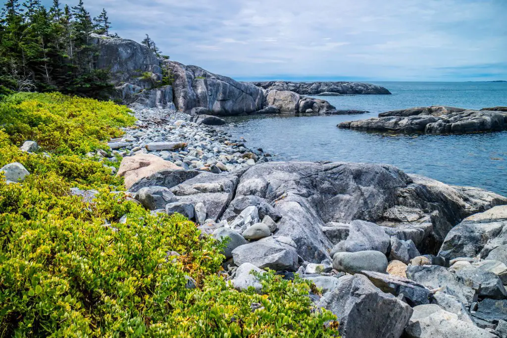 duck harbor acadia