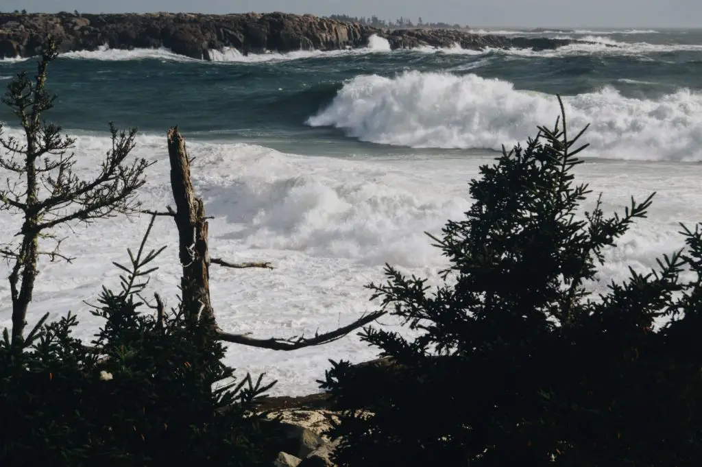 Best Day Trips From Acadia National Park