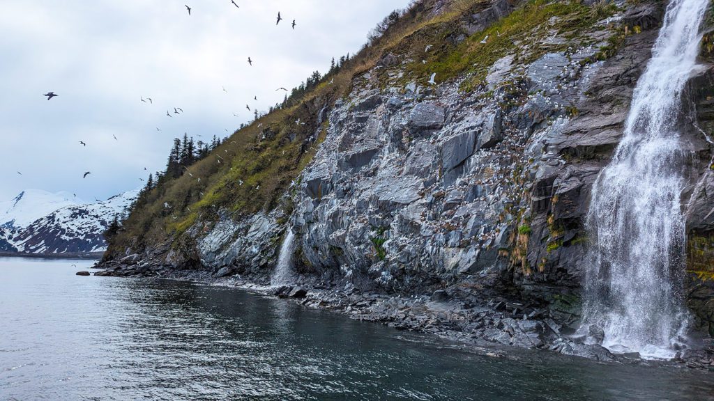 26 Glacier Cruise