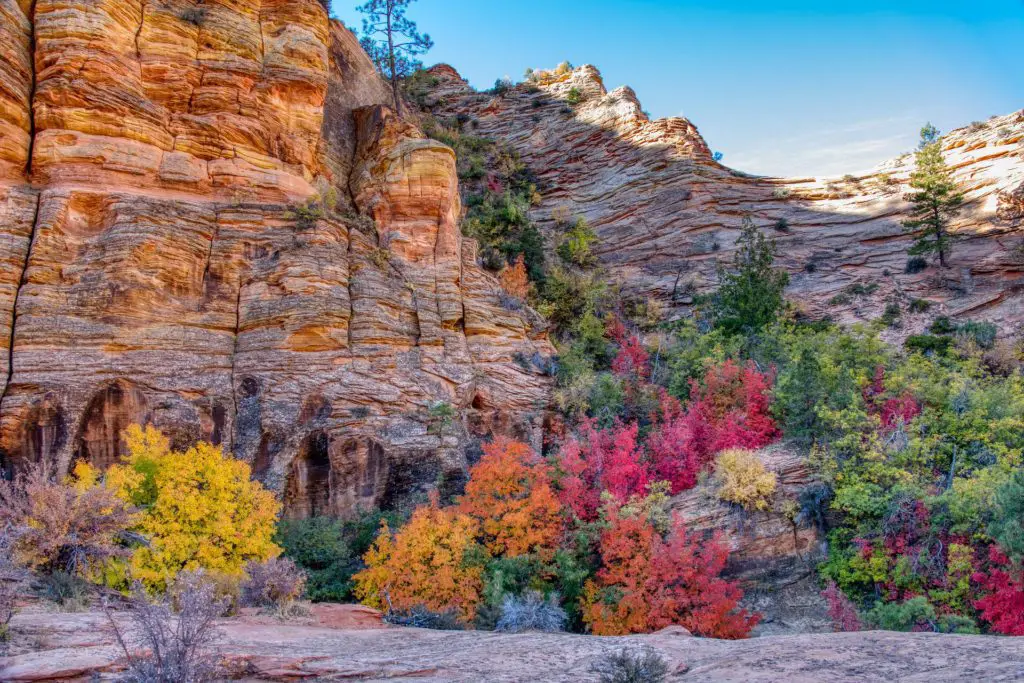 Visiting Zion National Park In October