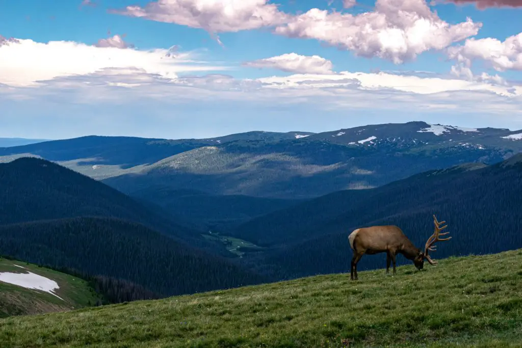 Best Month To Visit Rocky Mountain National Park