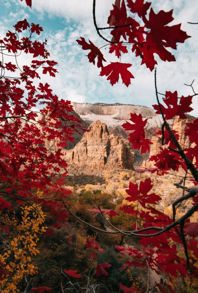 Best Month To Visit Zion National Park